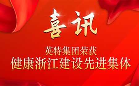 298手游网站集团作为唯一企业单元入选健全浙江建设先进集体名单