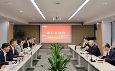 省国贸集团总经理杨正宏一行来298手游网站一洲、荆州298手游网站、荆州物流调研
