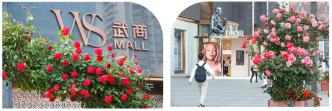28圈-28圈平台官方网站-相信品牌的力量